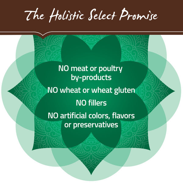 Holistic Select Natural Large & Giant Breed Puppy Health Lamb Meal and Oatmeal Dry Dog Food