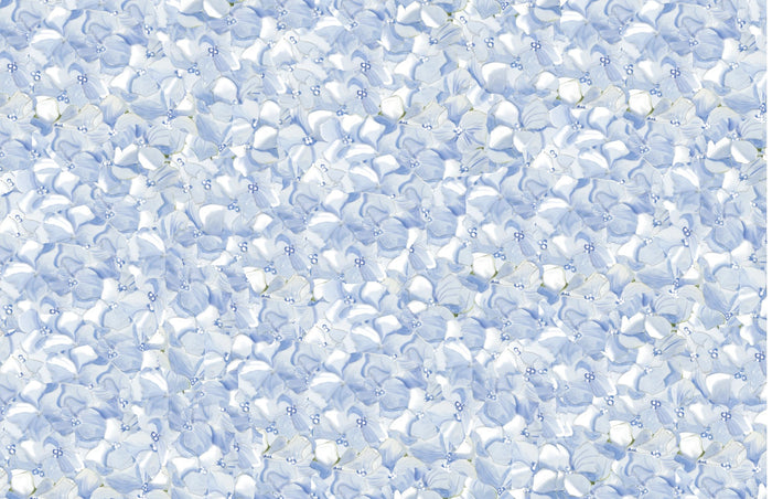 I108 Blue Hydrangea