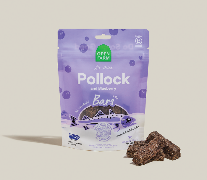 Icelandic Air-Dried Pollock & Blueberry Dog Treat Bars