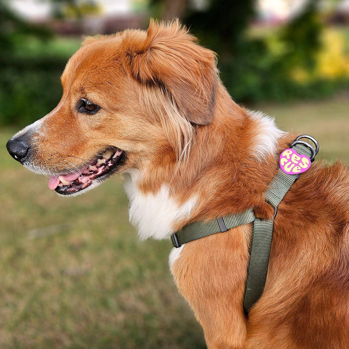 Jiby Dog Crew - Rescue Dog Badge: Orange