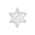 JT ESTATE Sterling Silver Star of David Pendant
