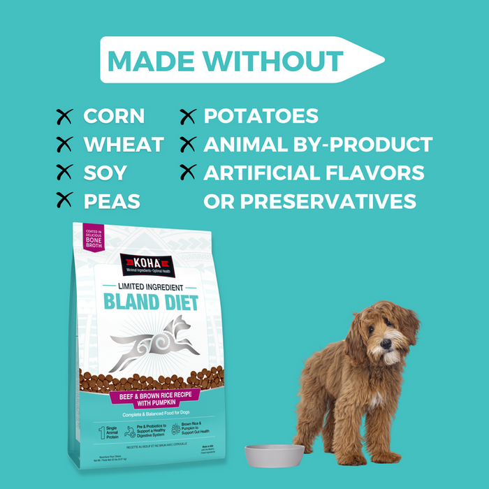 Koha Limited Ingredient Dry Bland Diet Beef & Brown Rice Recipe with Pumpkin for Dogs