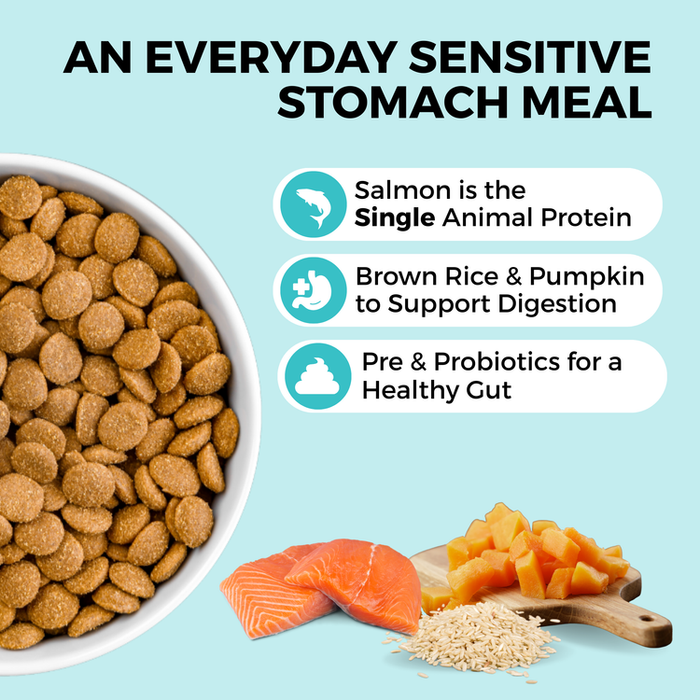 Koha Limited Ingredient Dry Bland Diet Salmon & Brown Rice Recipe with Pumpkin for Dogs