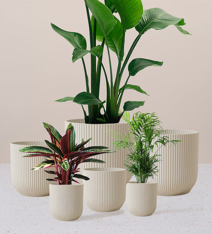 Linen White Elho Vibes Pot (25cm)