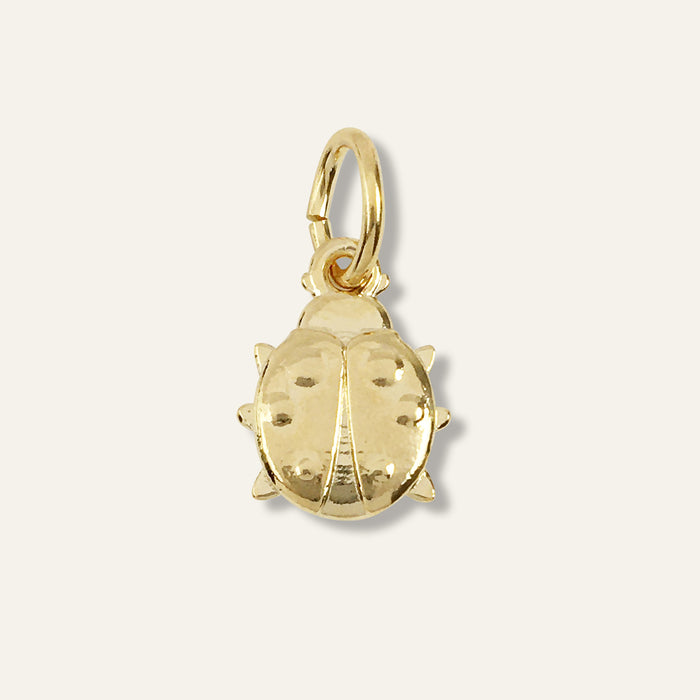 Lucky Ladybug Charm