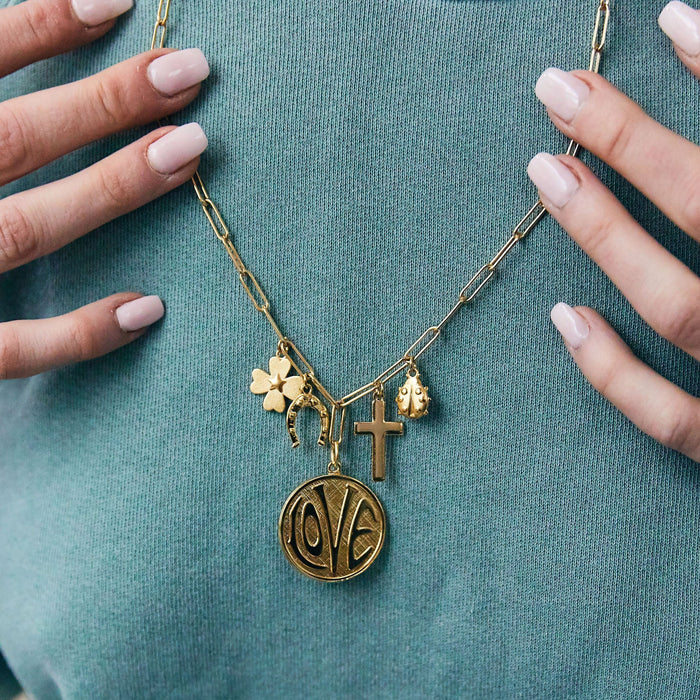 lucky ladybug charm