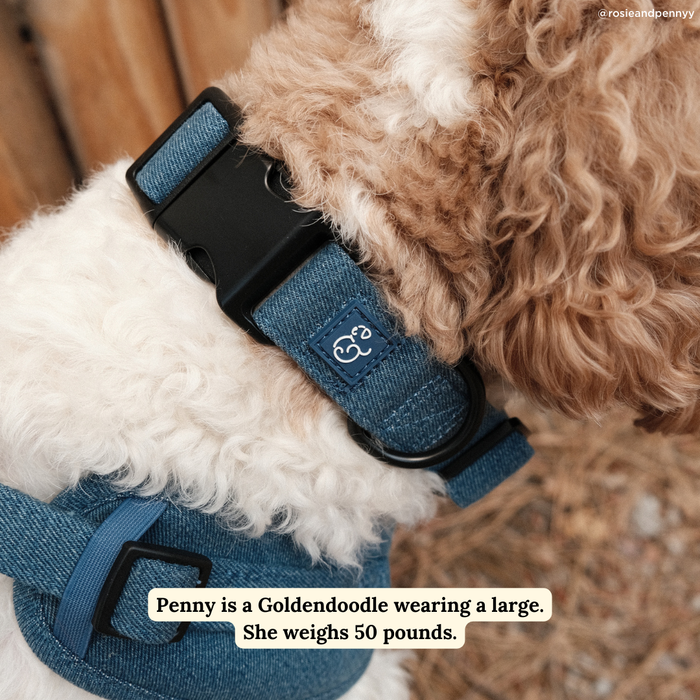 Lucy & Co. - Blue Jeans Collar