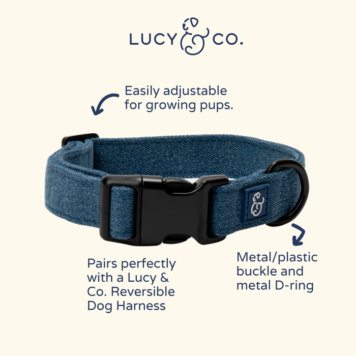Lucy & Co. - Blue Jeans Collar