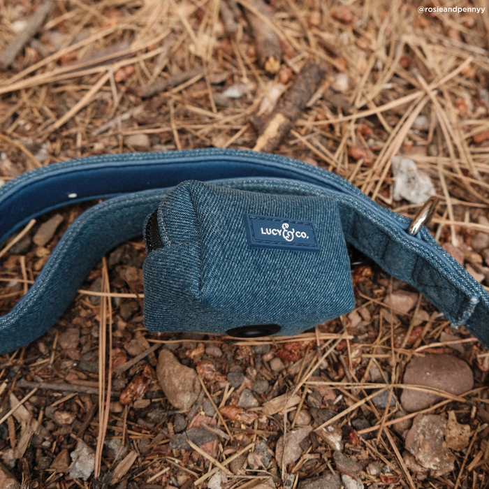 Lucy & Co. - Blue Jeans Leash