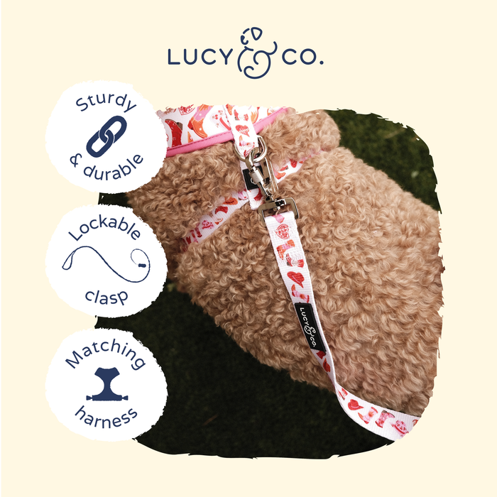 Lucy & Co. - Howdy, Honey Leash