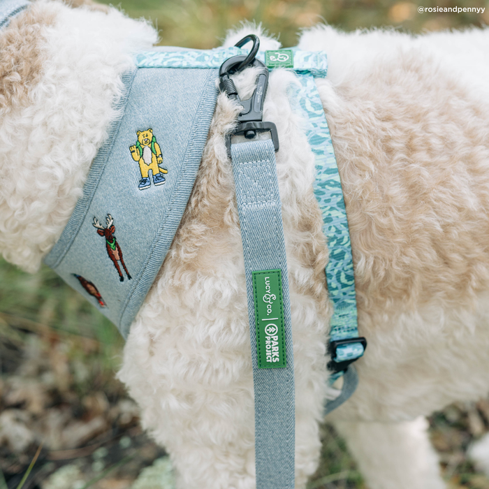 Lucy & Co. - Lucy & Co. x Parks Project Adventures with Friends Leash