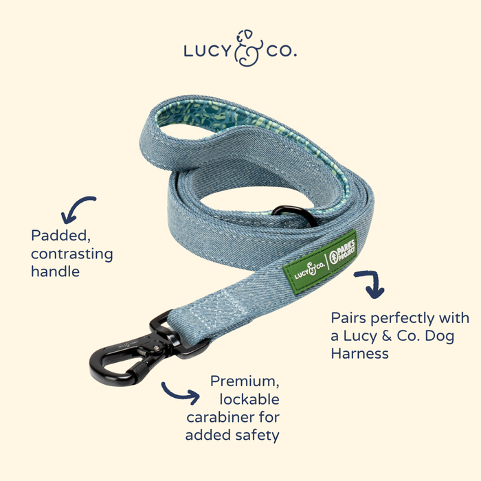 Lucy & Co. - Lucy & Co. x Parks Project Adventures with Friends Leash