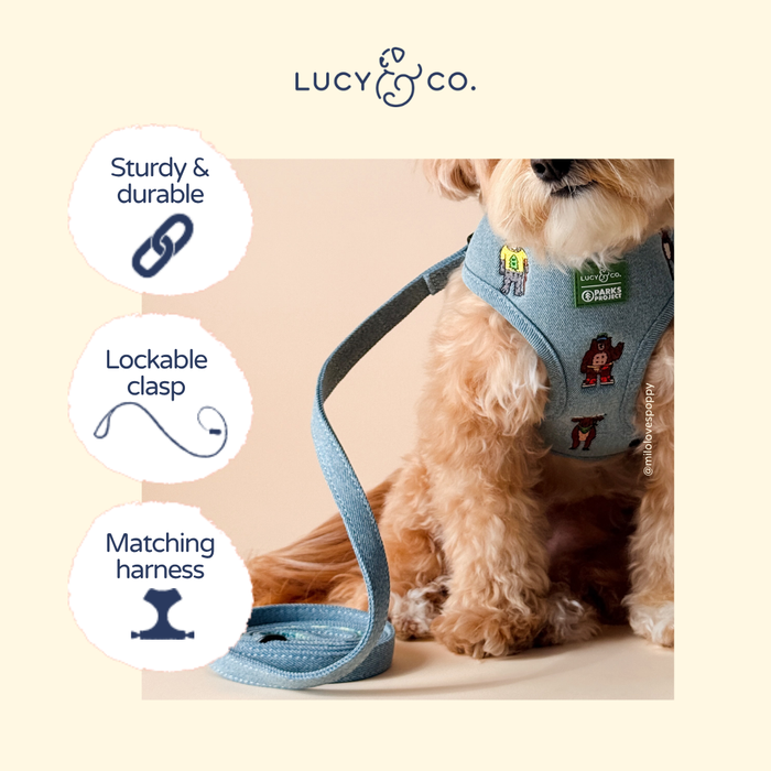 Lucy & Co. - Lucy & Co. x Parks Project Adventures with Friends Leash