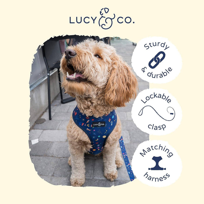 Lucy & Co. - Space Doodle Leash