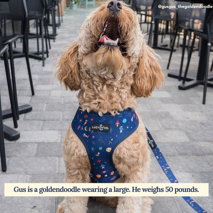Lucy & Co. - Space Doodle Leash