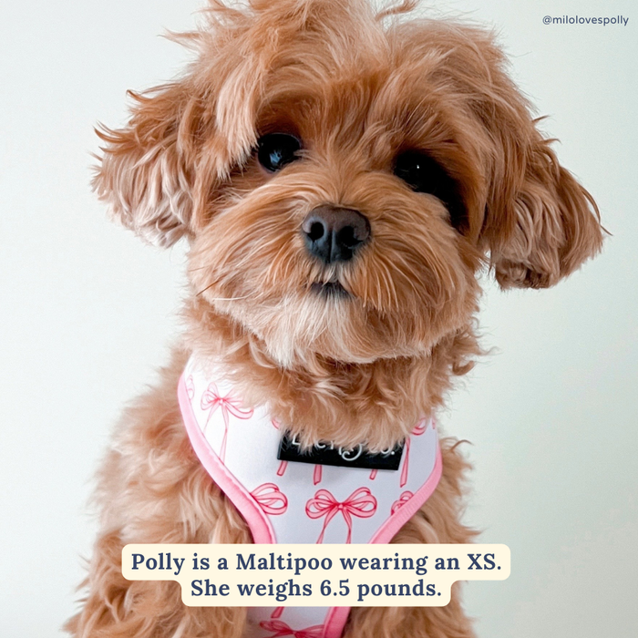 Lucy & Co. - Take a Bow Reversible Harness