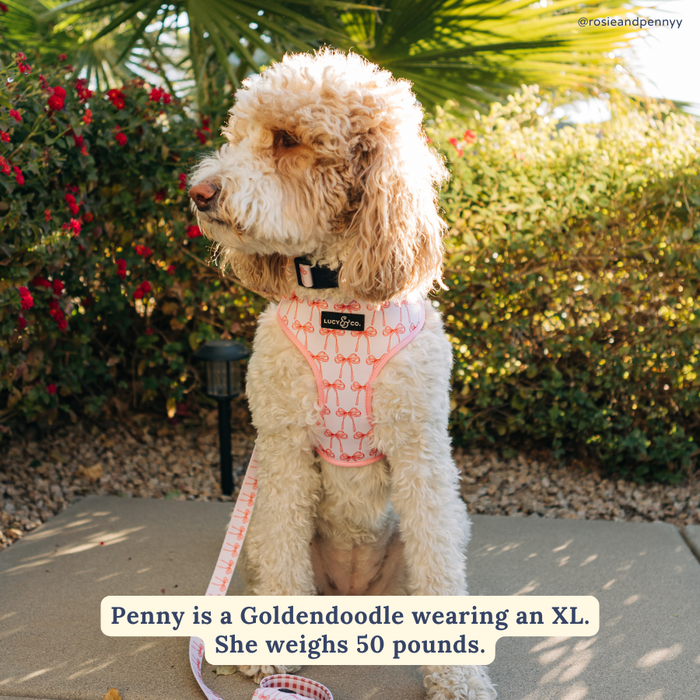 Lucy & Co. - Take a Bow Reversible Harness