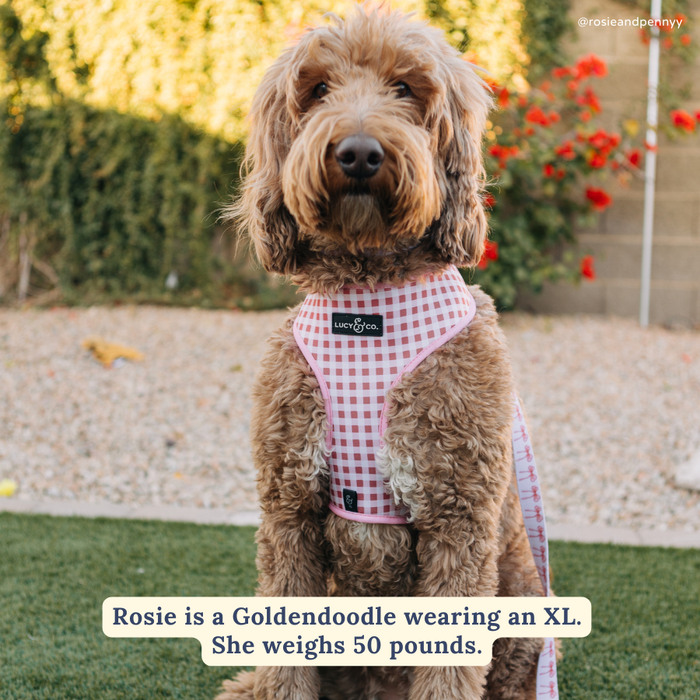 Lucy & Co. - Take a Bow Reversible Harness