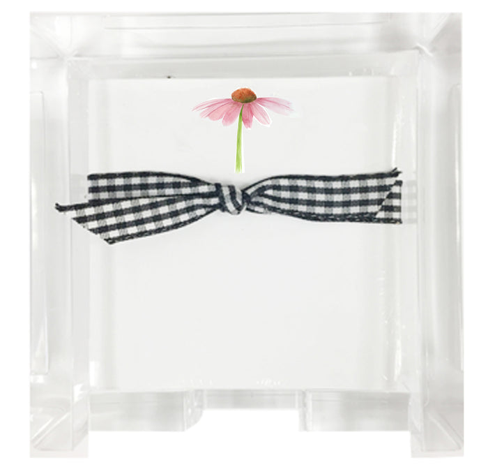 Mini45 Cone Flower