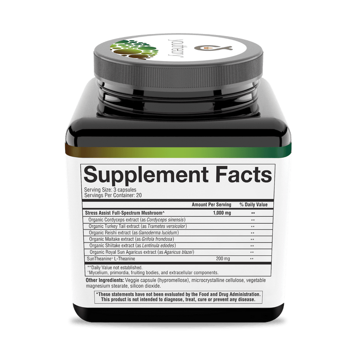 MSC.92090 Youtheory Mushroom Stress Complex 60 Capsules Product Image - Right