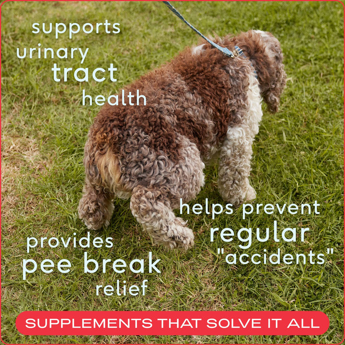 Native Pet - Cranberry Bladder Chews, Kidney & Urinary Supplement for Dog: 60ct
