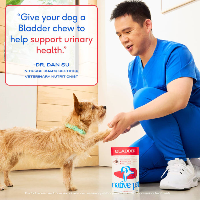 Native Pet - Cranberry Bladder Chews, Kidney & Urinary Supplement for Dog: 60ct