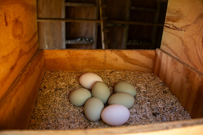 New Country Organics Organic Wheat-Free Layer Feed