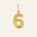 Number 6 Charm