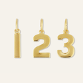 Numbers 0-9 Charms