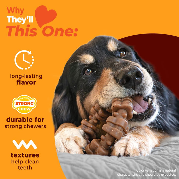 Nylabone Strong Chew Textured Ring Dog Chew Toy