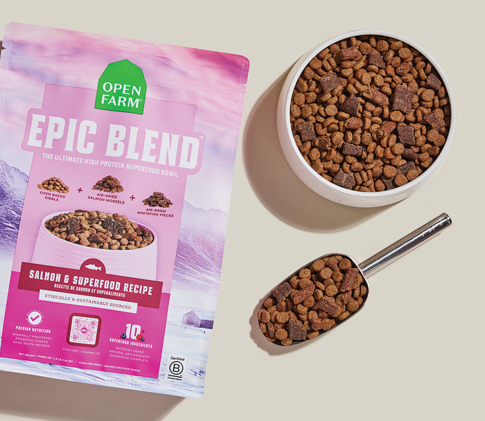 Open Farm Epic Blend Salmon & Superfood Dry Dog Food
