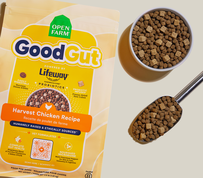 Open Farm GoodGut Harvest Chicken Dog Kibble