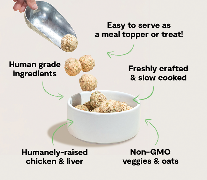 Open Farm Harvest Chicken Freshly Crafted Meatballs for Dogs
