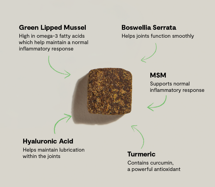 Open Farm Hip & Joint Supplement Chews for Dogs