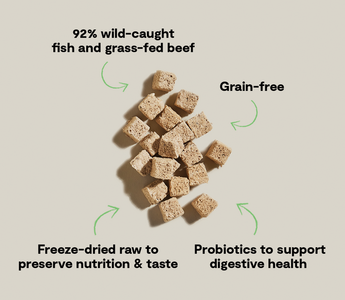 Open Farm Surf & Turf Kitty Cube Treats for Cats
