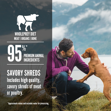 ORIJEN® Regional Red Stew Wet Dog Food