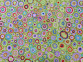 Paperweight - 1/2 YD