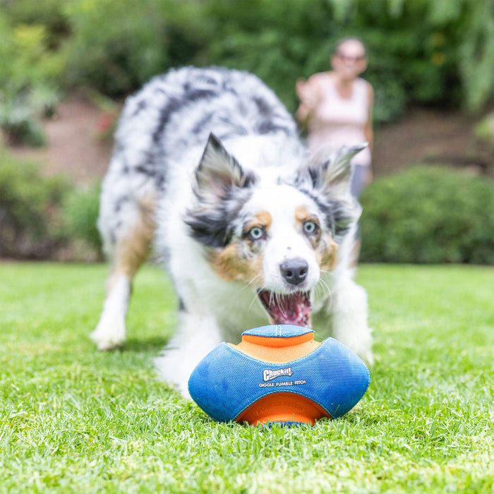 Petmate Chuckit! Giggle Fumble Fetch Dog Toy