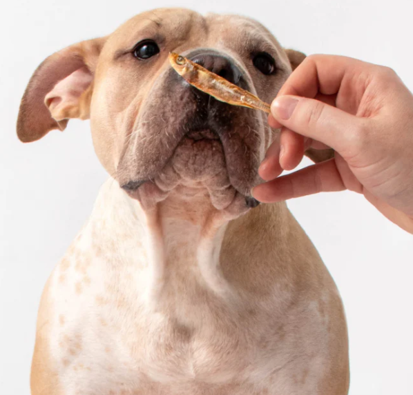 Polkadog Polkadog Atlantic Silverside Dogs & Cats Treats