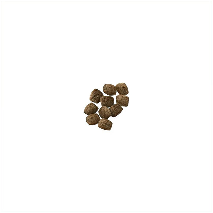 Purina Pro Plan Adult 7+ Sensitive Skin & Stomach Salmon & Rice Senior Dry Dog Food