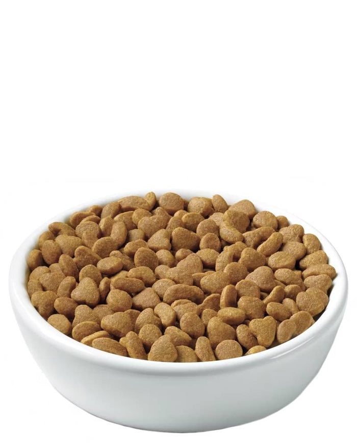 Purina Pro Plan Adult Urinary Tract Health Chicken & Rice Formula Dry Cat Food