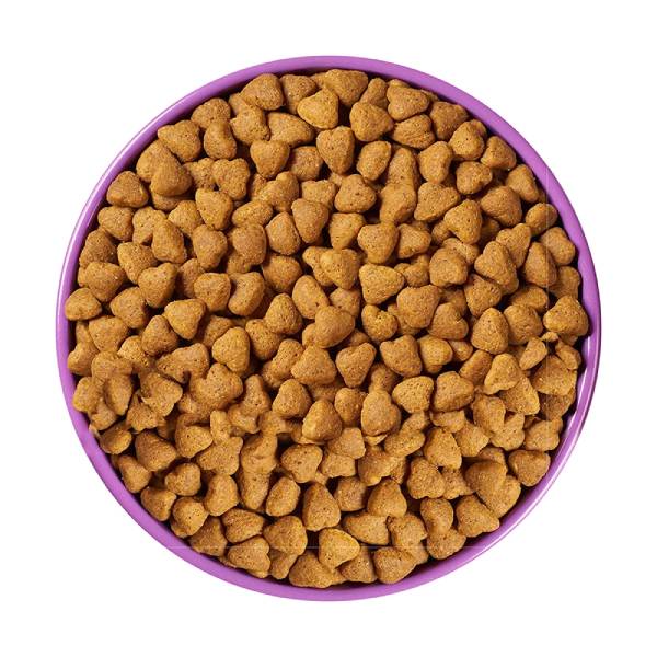 Purina Pro Plan All Ages Sport Performance 30/20 Salmon & Rice Formula Dry Dog Food