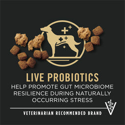 Purina Pro Plan Senior Dog Food with Probiotics for Dogs, Shredded Blend Chicken & Rice Formula