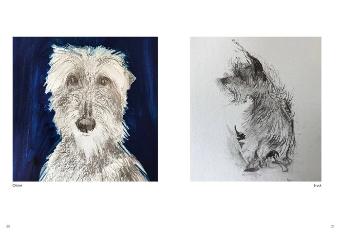 Rescue Dogs: Sally Muir