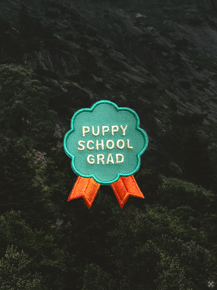 Scout's Honour - Puppy School Grad iron-on patch for dogs