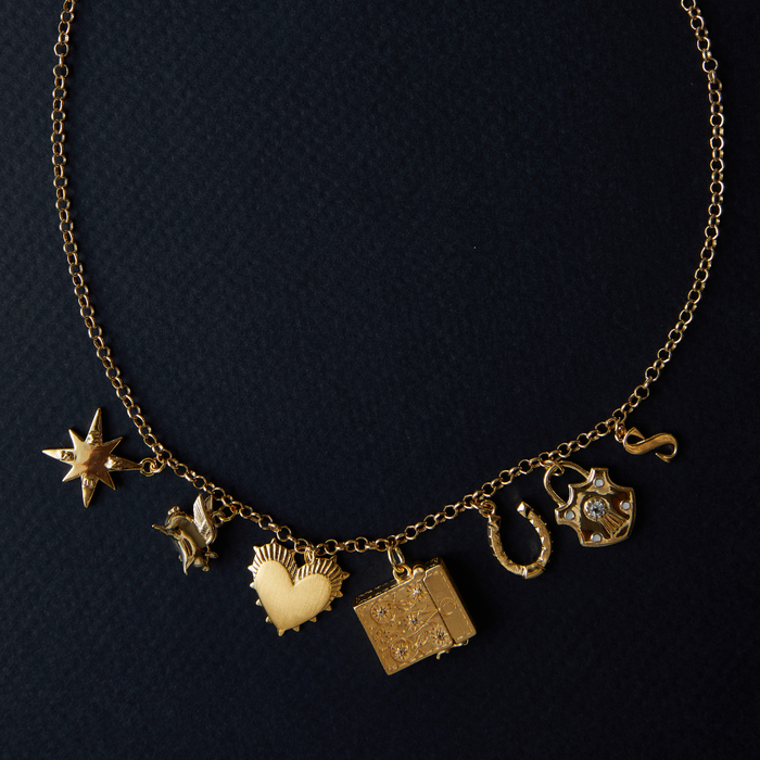 Small Heart of Gold Charm, Star Compass, Flying Piggy, Etched Vesta, Small Fortuna Horseshoe, Shield Padlock, Small Letter
