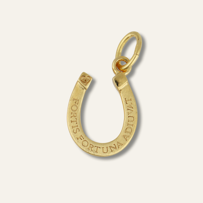 Small Fortuna Horseshoe Charm