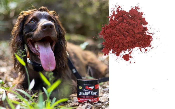 Super Snouts Urinary Berry
