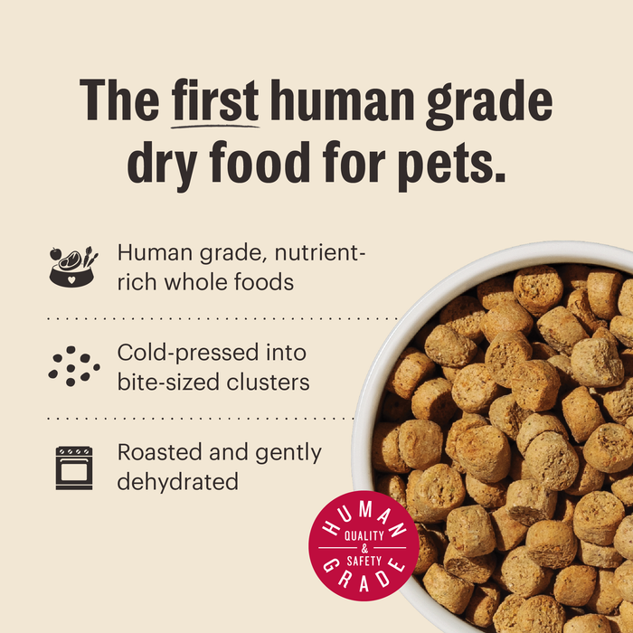The Honest Kitchen Grain Free Lamb Clusters Dry Dog Food