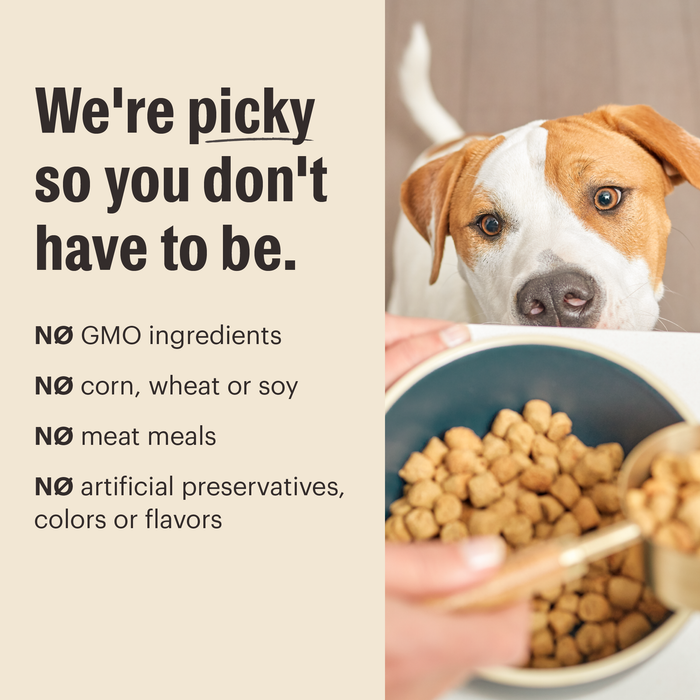 The Honest Kitchen Grain Free Lamb Clusters Dry Dog Food